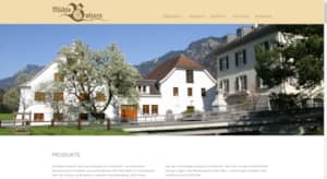 Mühle Balzers Laptop