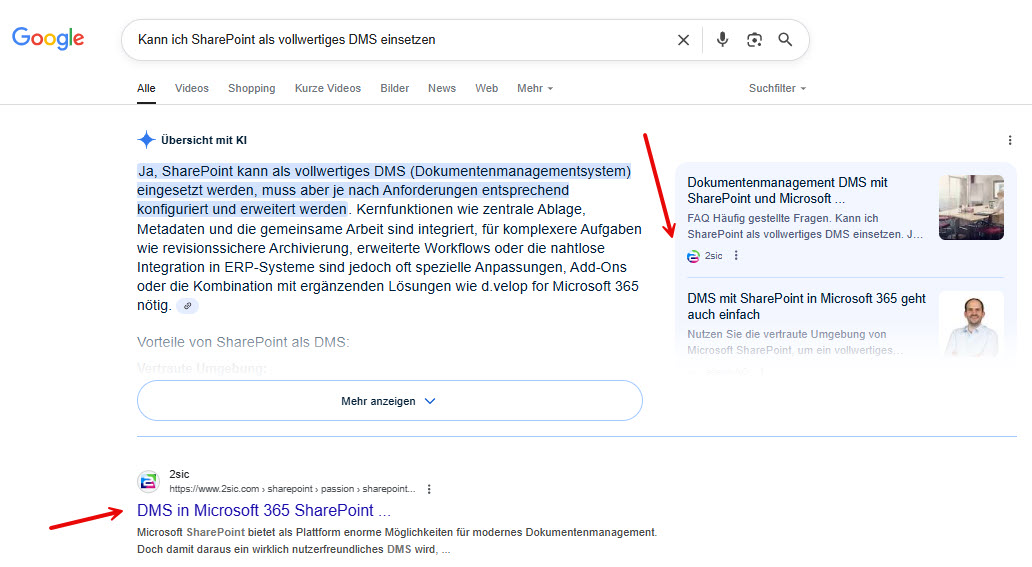 SERP KI Feature Nutzen