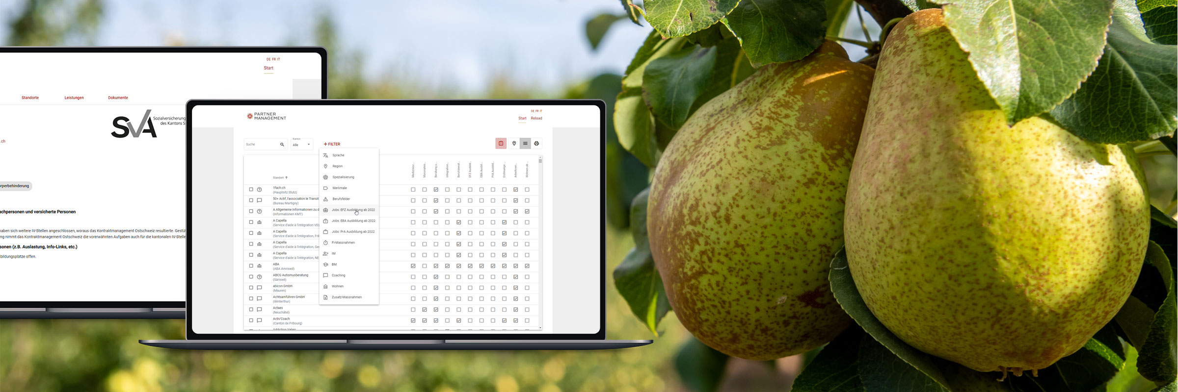 Partnerverträge zentral in SharePoint pflegen
