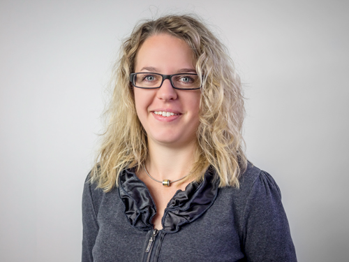 Verstärkung im Web-Team