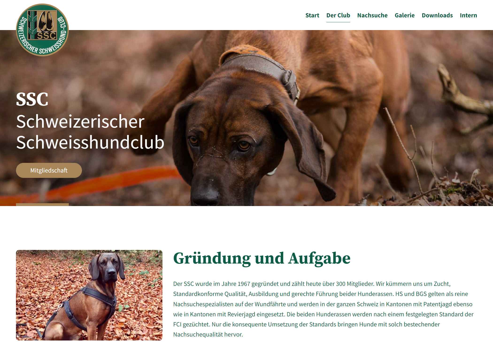 Website Redesign inklusive Intranet für den SSC