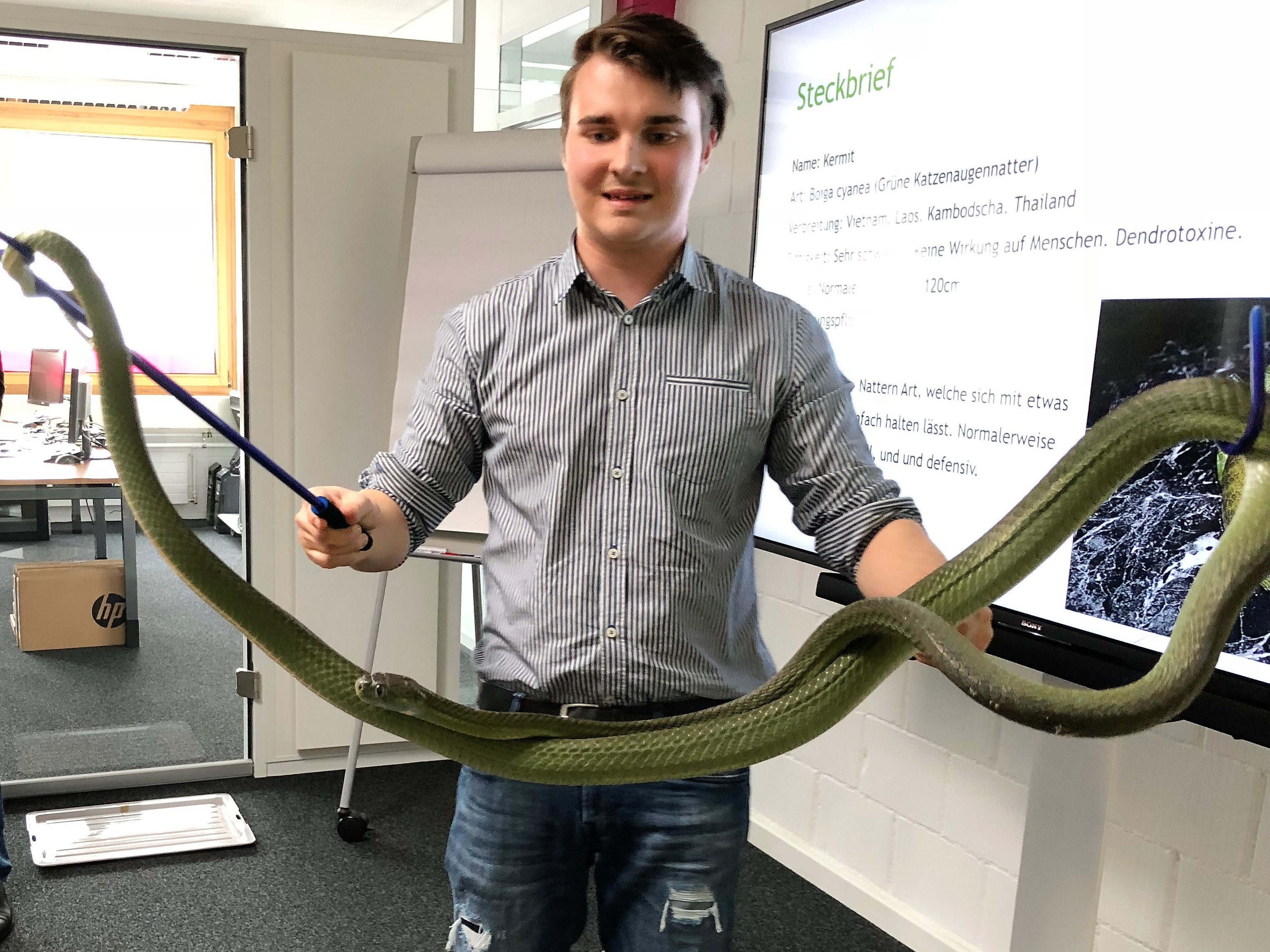 Schlangenfaszination